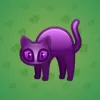 Scared Cat #1493