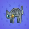 Scared Cat #14944