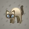 Scared Cat #15333