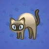 Scared Cat #15400