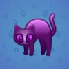 Scared Cat #15528