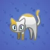 Scared Cat #15798