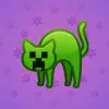 Scared Cat #15799