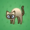 Scared Cat #16083