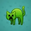 Scared Cat #16172