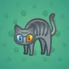 Scared Cat #16276