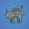 Scared Cat #16416
