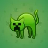Scared Cat #16604