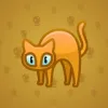 Scared Cat #16820