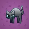 Scared Cat #16843