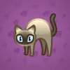Scared Cat #16855