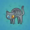 Scared Cat #17125