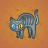 Scared Cat #17616