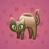 Scared Cat #17759
