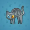 Scared Cat #2690
