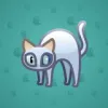 Scared Cat #2805