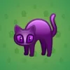 Scared Cat #2988