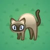 Scared Cat #3065