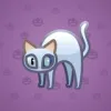 Scared Cat #311