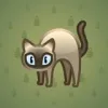 Scared Cat #3777
