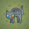 Scared Cat #3797