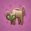 Scared Cat #3948