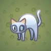 Scared Cat #4537