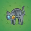 Scared Cat #4649