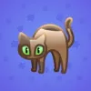 Scared Cat #4691