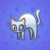 Scared Cat #4701