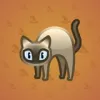 Scared Cat #4844
