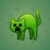 Scared Cat #4892