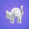 Scared Cat #4928