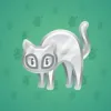 Scared Cat #4955