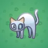 Scared Cat #496