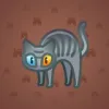 Scared Cat #5051
