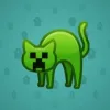 Scared Cat #5211