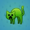 Scared Cat #5249