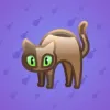 Scared Cat #569