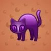 Scared Cat #5917