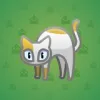 Scared Cat #6379