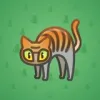 Scared Cat #7455