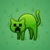 Scared Cat #7771