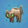 Scared Cat #7953