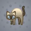 Scared Cat #7957