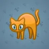 Scared Cat #7971