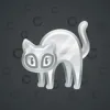 Scared Cat #8070