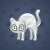 Scared Cat #8953