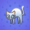 Scared Cat #9090
