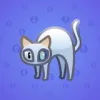 Scared Cat #9464